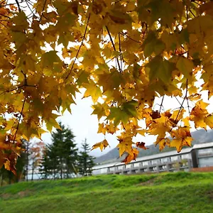 富良野酒店 传统日式旅馆 中富良野町